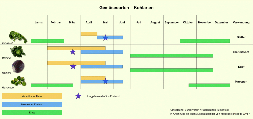 Kohl